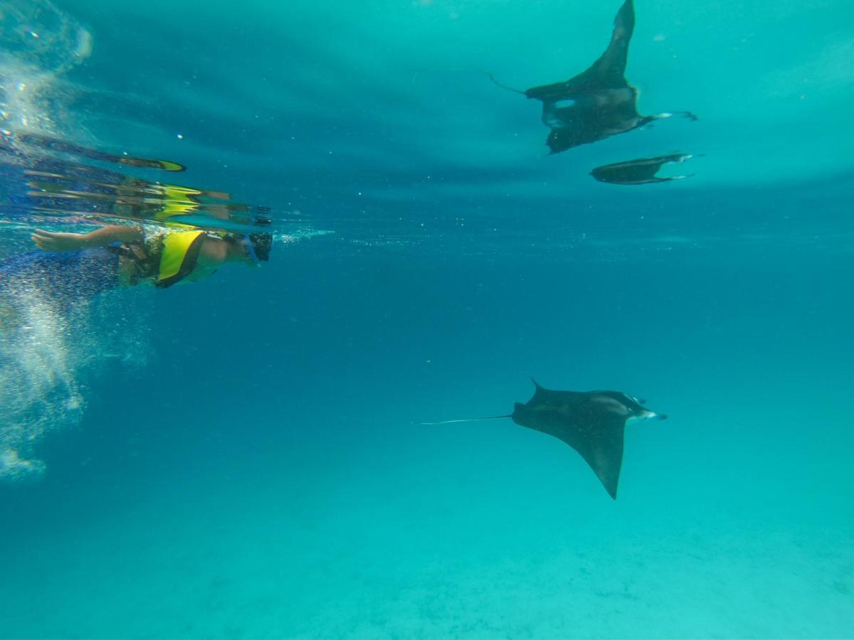 Coral Queen Villa, Ukulhas Екстериор снимка